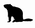 Groundhog Silhouette Decal Sticker